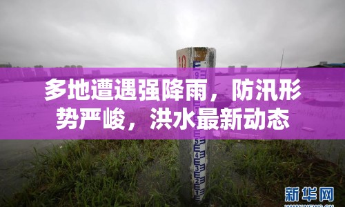 多地遭遇強降雨，防汛形勢嚴峻，洪水最新動態(tài)