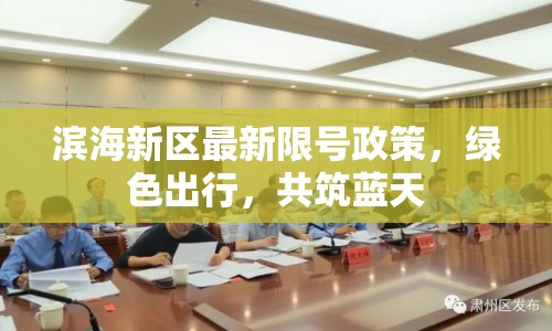 濱海新區(qū)最新限號政策，綠色出行，共筑藍(lán)天