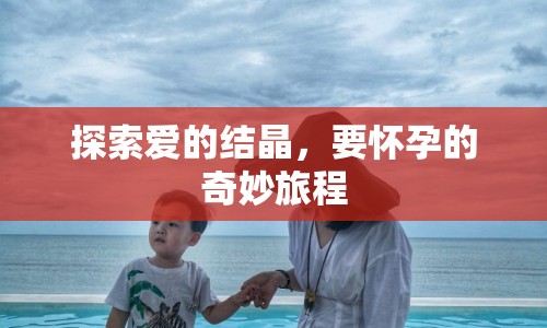 探索愛的結(jié)晶，要懷孕的奇妙旅程