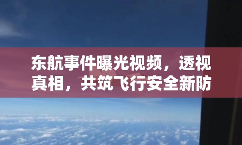 東航事件曝光視頻，透視真相，共筑飛行安全新防線