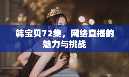 韓寶貝72集，網(wǎng)絡(luò)直播的魅力與挑戰(zhàn)