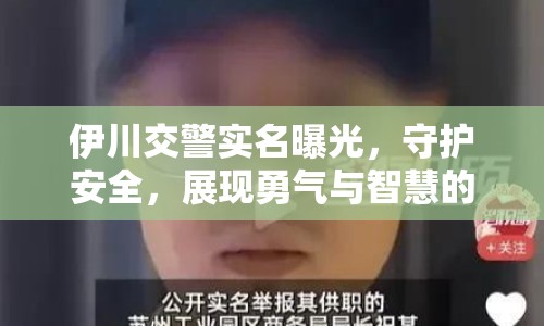 伊川交警實(shí)名曝光，守護(hù)安全，展現(xiàn)勇氣與智慧的挑戰(zhàn)