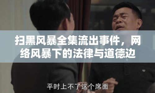 掃黑風(fēng)暴全集流出事件，網(wǎng)絡(luò)風(fēng)暴下的法律與道德邊界探討