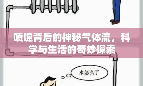 噴嚏背后的神秘氣體流，科學(xué)與生活的奇妙探索