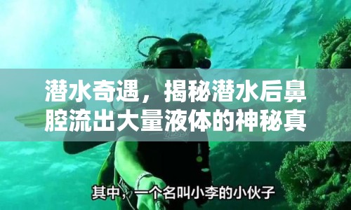 潛水奇遇，揭秘潛水后鼻腔流出大量液體的神秘真相