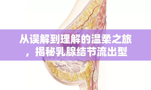 從誤解到理解的溫柔之旅，揭秘乳腺結(jié)節(jié)流出型