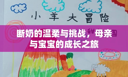 斷奶的溫柔與挑戰(zhàn)，母親與寶寶的成長之旅