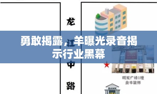 勇敢揭露，羊曝光錄音揭示行業(yè)黑幕