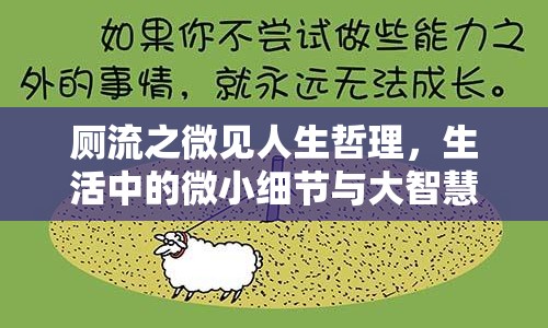 廁流之微見人生哲理，生活中的微小細(xì)節(jié)與大智慧