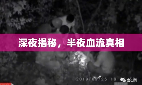 深夜揭秘，半夜血流真相