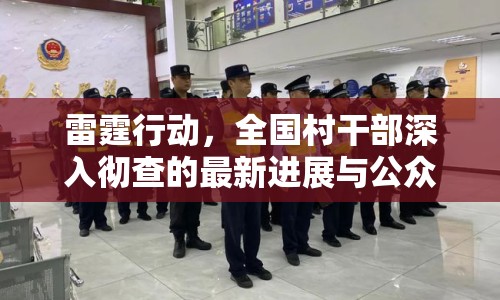 雷霆行動(dòng)，全國(guó)村干部深入徹查的最新進(jìn)展與公眾期待
