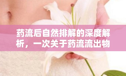 藥流后自然排解的深度解析，一次關(guān)于藥流流出物的全面探討