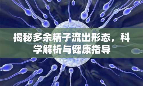 揭秘多余精子流出形態(tài)，科學(xué)解析與健康指導(dǎo)