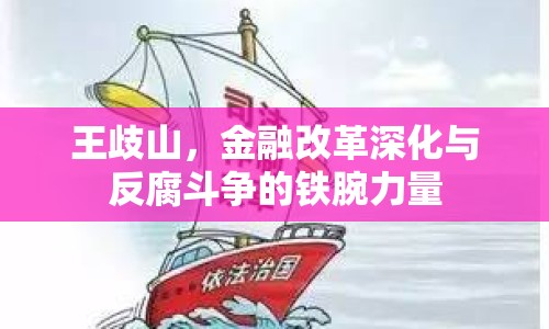 王歧山，金融改革深化與反腐斗爭(zhēng)的鐵腕力量