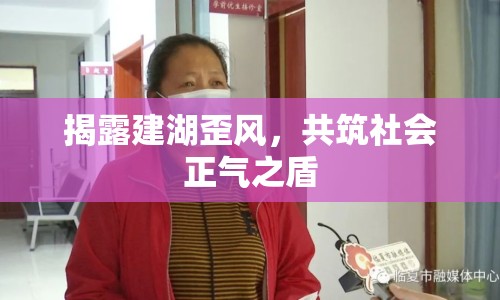 揭露建湖歪風(fēng)，共筑社會(huì)正氣之盾
