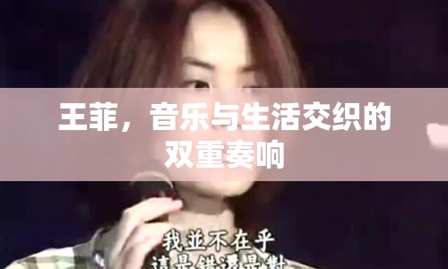 王菲，音樂與生活交織的雙重奏響