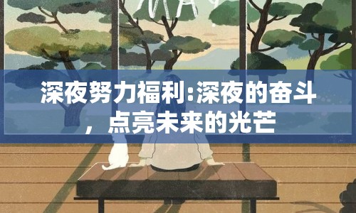 深夜努力福利:深夜的奮斗，點(diǎn)亮未來的光芒