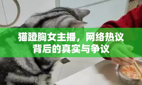 貓蹬胸女主播，網(wǎng)絡熱議背后的真實與爭議