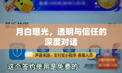 月白曝光，透明與信任的深度對話