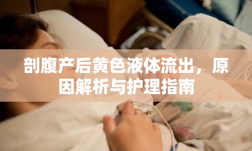 剖腹產(chǎn)后黃色液體流出，原因解析與護理指南