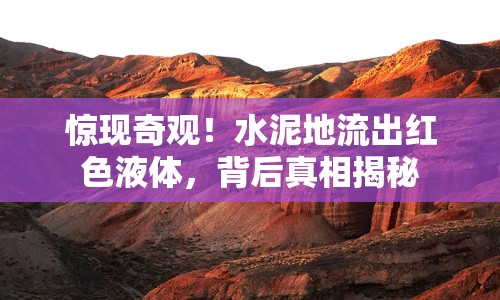 驚現(xiàn)奇觀！水泥地流出紅色液體，背后真相揭秘