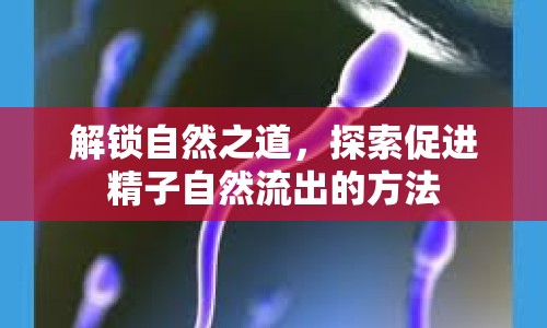 解鎖自然之道，探索促進(jìn)精子自然流出的方法