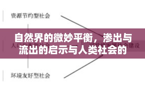 自然界的微妙平衡，滲出與流出的啟示與人類社會的深刻關(guān)聯(lián)