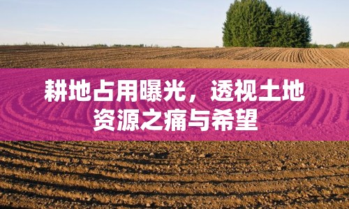 耕地占用曝光，透視土地資源之痛與希望