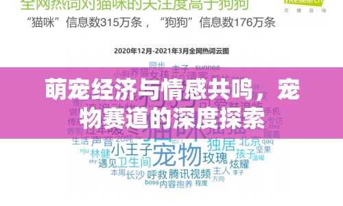 萌寵經(jīng)濟(jì)與情感共鳴，寵物賽道的深度探索