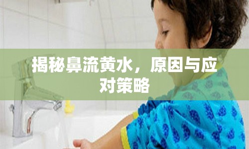 揭秘鼻流黃水，原因與應(yīng)對策略