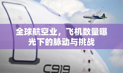 全球航空業(yè)，飛機(jī)數(shù)量曝光下的脈動與挑戰(zhàn)