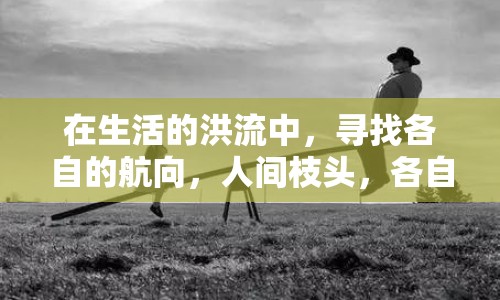 在生活的洪流中，尋找各自的航向，人間枝頭，各自乘流