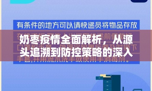 奶棗疫情全面解析，從源頭追溯到防控策略的深入探討