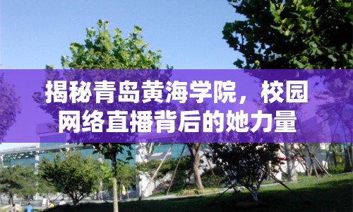 揭秘青島黃海學院，校園網絡直播背后的她力量