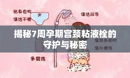 揭秘7周孕期宮頸粘液栓的守護(hù)與秘密