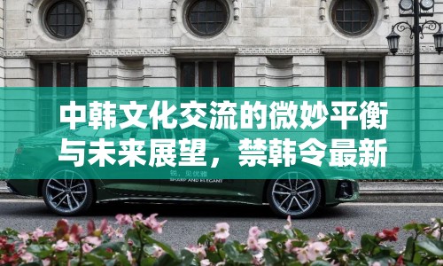 中韓文化交流的微妙平衡與未來(lái)展望，禁韓令最新動(dòng)態(tài)解析