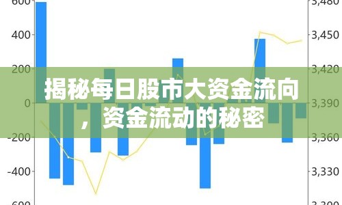 揭秘每日股市大資金流向，資金流動(dòng)的秘密