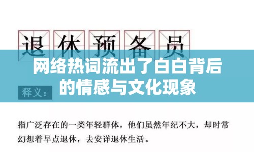 網(wǎng)絡(luò)熱詞流出了白白背后的情感與文化現(xiàn)象