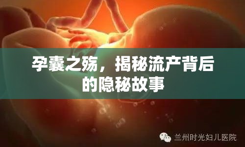 孕囊之殤，揭秘流產(chǎn)背后的隱秘故事