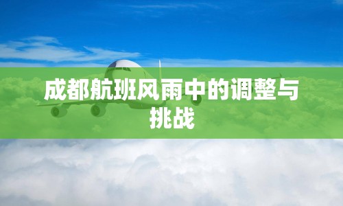 成都航班風(fēng)雨中的調(diào)整與挑戰(zhàn)