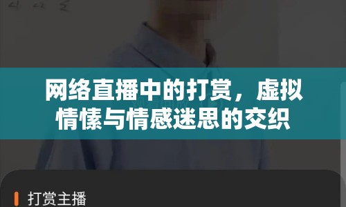 網(wǎng)絡(luò)直播中的打賞，虛擬情愫與情感迷思的交織