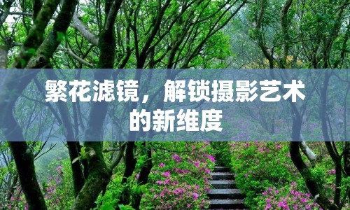 繁花濾鏡，解鎖攝影藝術(shù)的新維度