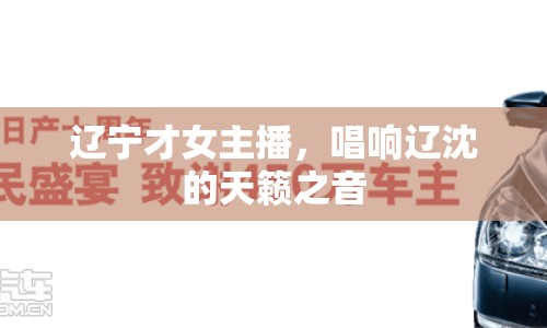 遼寧才女主播，唱響遼沈的天籟之音