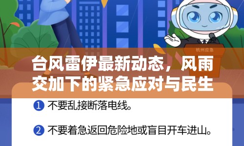 臺風雷伊最新動態(tài)，風雨交加下的緊急應(yīng)對與民生關(guān)懷