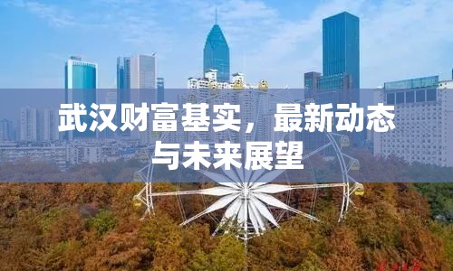 武漢財(cái)富基實(shí)，最新動態(tài)與未來展望
