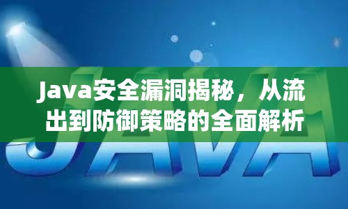 Java安全漏洞揭秘，從流出到防御策略的全面解析