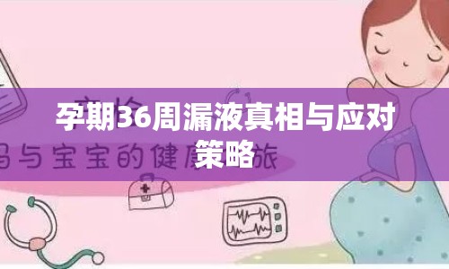 孕期36周漏液真相與應(yīng)對(duì)策略