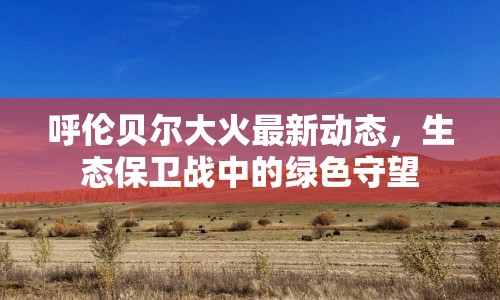 呼倫貝爾大火最新動(dòng)態(tài)，生態(tài)保衛(wèi)戰(zhàn)中的綠色守望