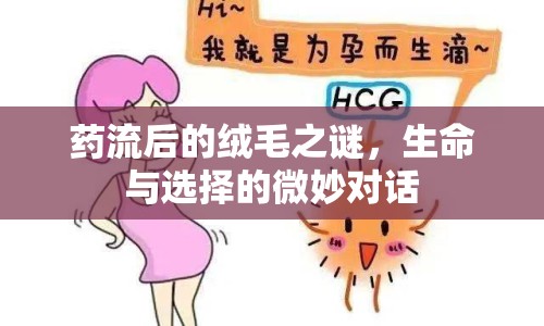 藥流后的絨毛之謎，生命與選擇的微妙對(duì)話