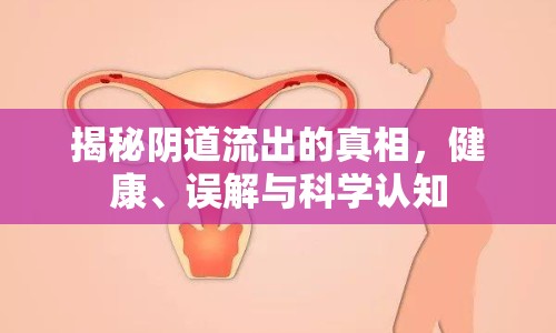 揭秘陰道流出的真相，健康、誤解與科學(xué)認(rèn)知